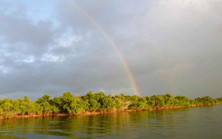 gap year outdoor leadership program in florida